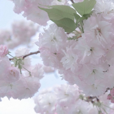 Furry绘画工具推荐兽圈社群